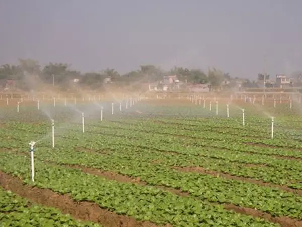 Farm irrigation application