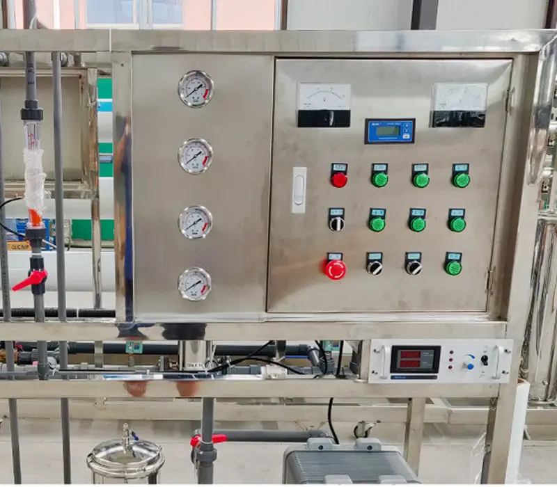 electrodeionization system details 2