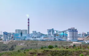 Petrochemical